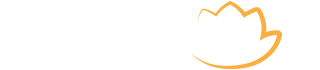 STEAM
